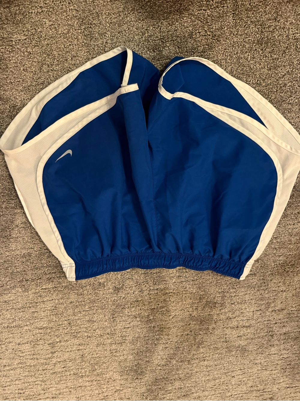 Nike Blue and White Women's Athletic Shorts